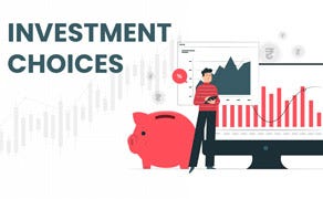 Investment Choices