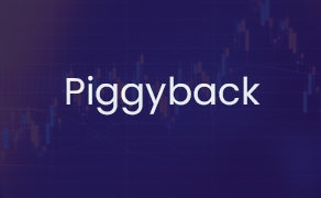 Piggyback Registration