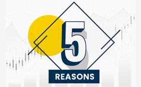 Reasons why MO INVESTOR is a Must-Have for Traders