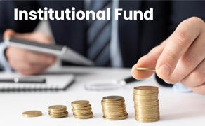 What is an Institutional Fund