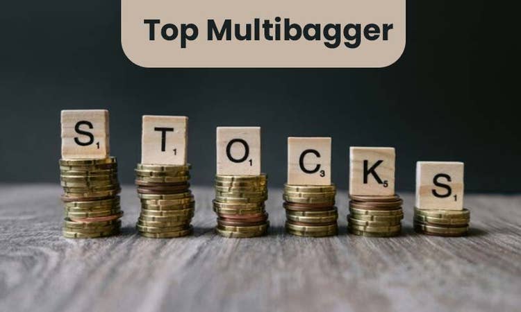 Top Multibagger