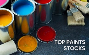 Top Paints Stocks in India 2024