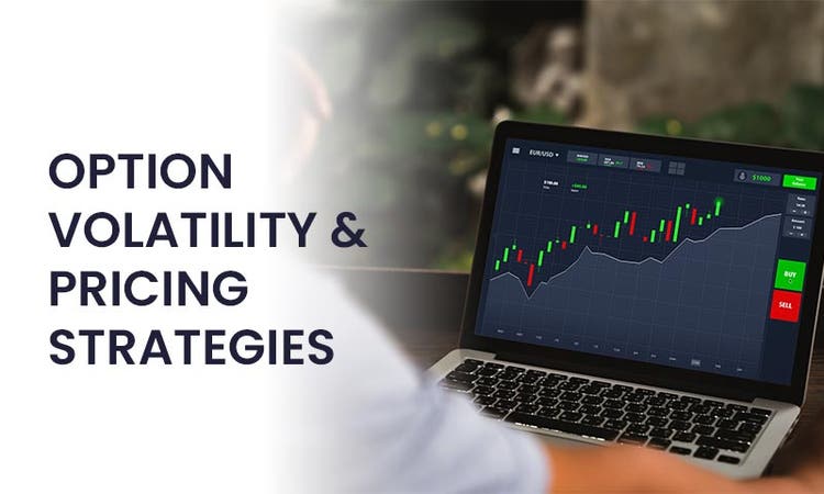 option volatility and pricing strategies