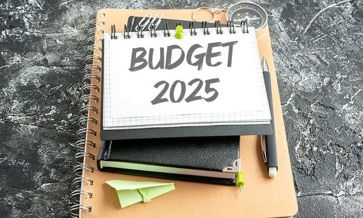 Budget 2025 Expectations